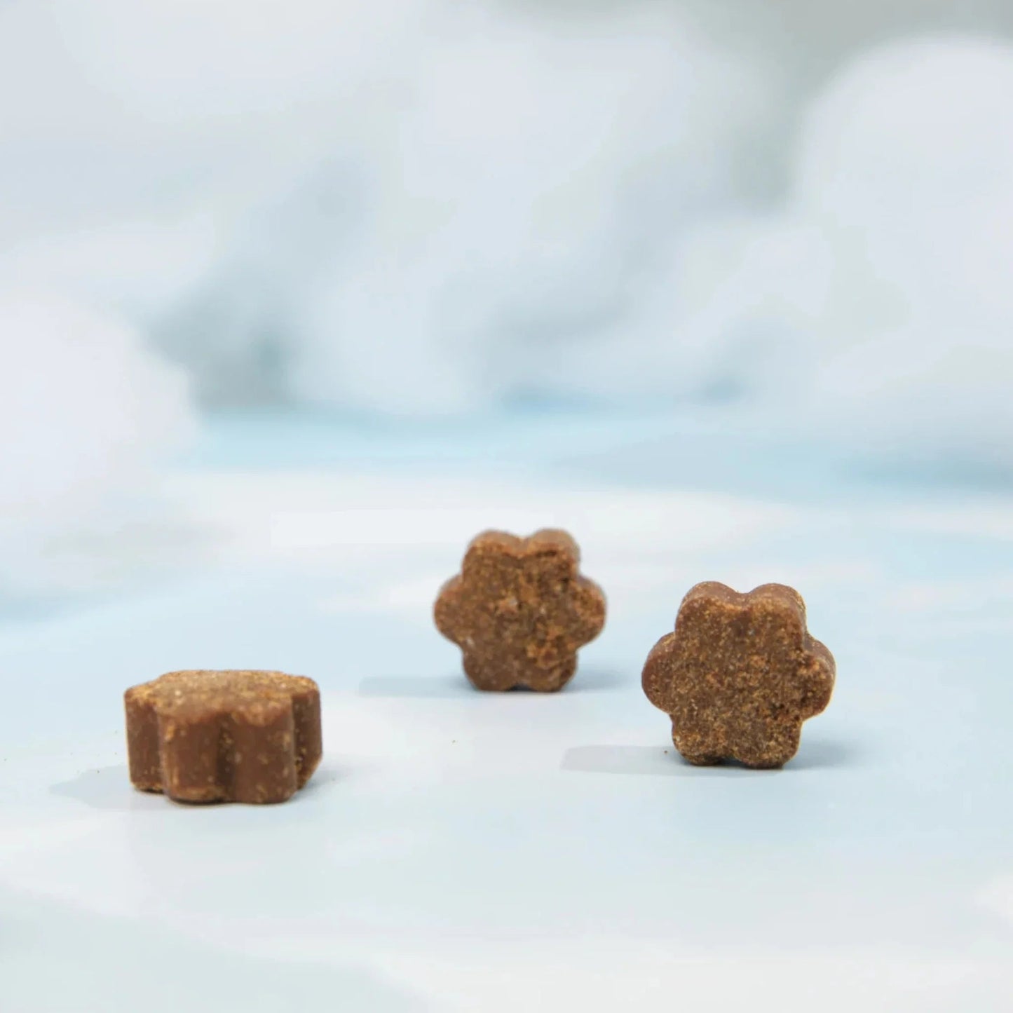 Longevity Multivitamin