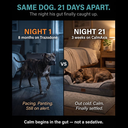 Dog Calming Postbiotic Chews