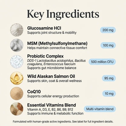 Longevity Multivitamin