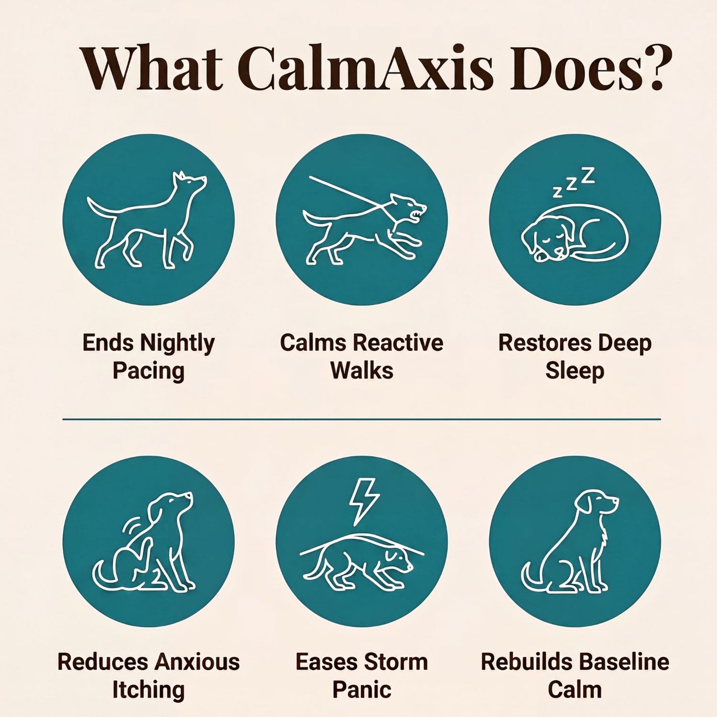 Dog Calming Postbiotic Chews
