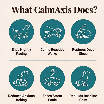 Dog Calming Postbiotic Chews