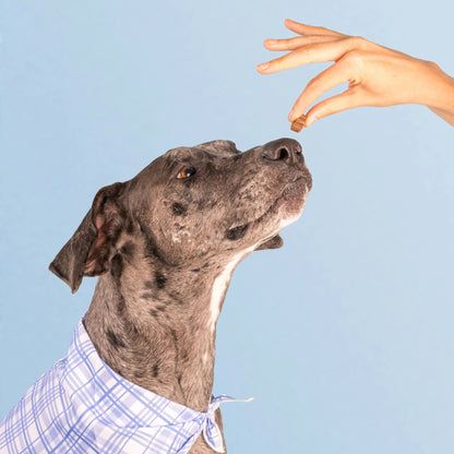 Longevity Multivitamin