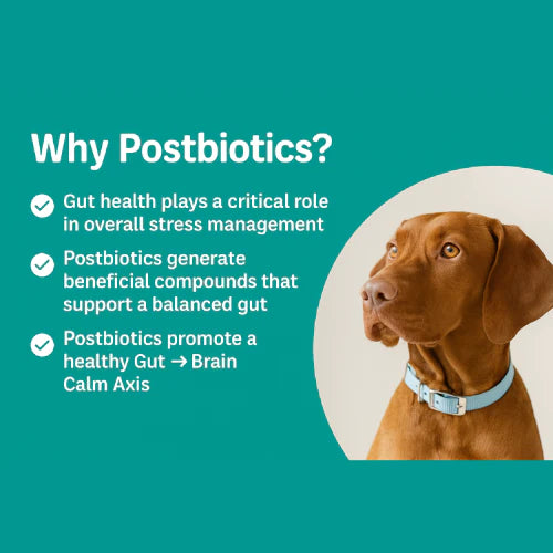 CalmAxis™ Postbiotic Chews