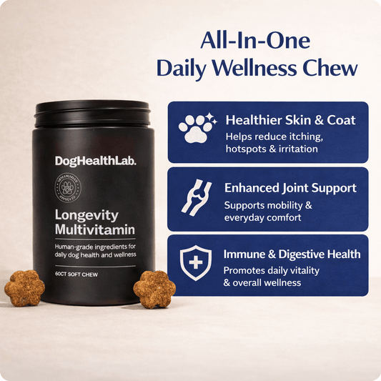 Longevity Multivitamin