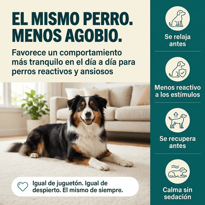Masticables Posbióticos CalmAxis™