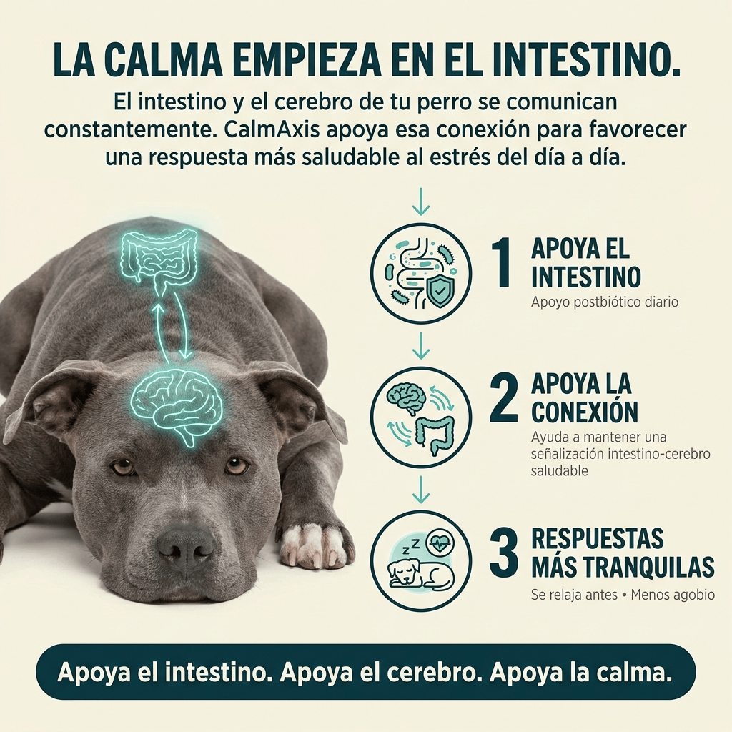 Masticables Posbióticos CalmAxis™